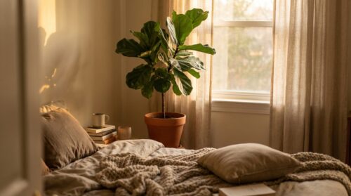 ontdek hoe een kamerplant je diepe slaap met 37% kan verbeteren volgens een baanbrekende nasa-studie uit 2025. verhoog je slaapkwaliteit natuurlijk en gezond.